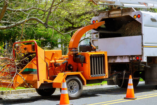 Best Tree Mulching  in Tuskegee, AL
